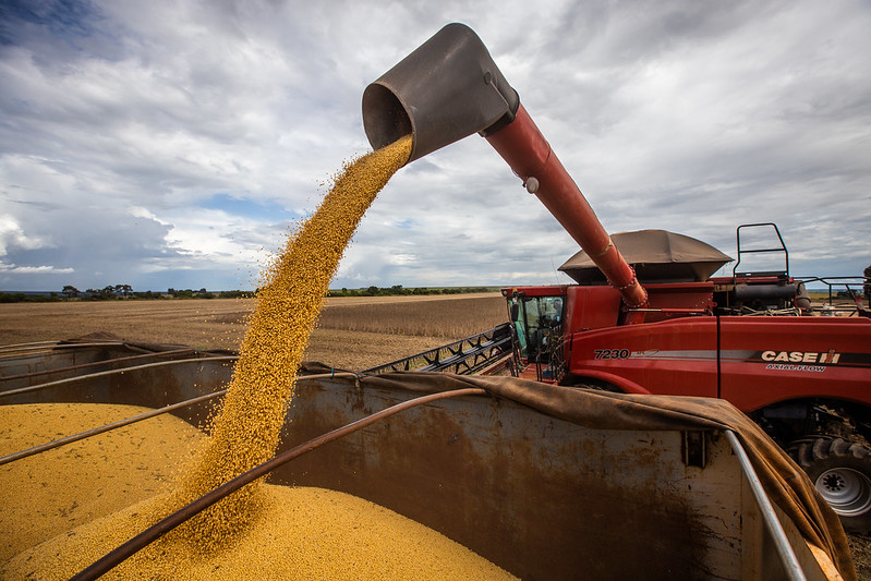 A agropecuária é a principal fonte de dinamismo das exportações brasileiras até o momento, liderada pelo aumento do volume. Foto Sistema CNA/SENAR