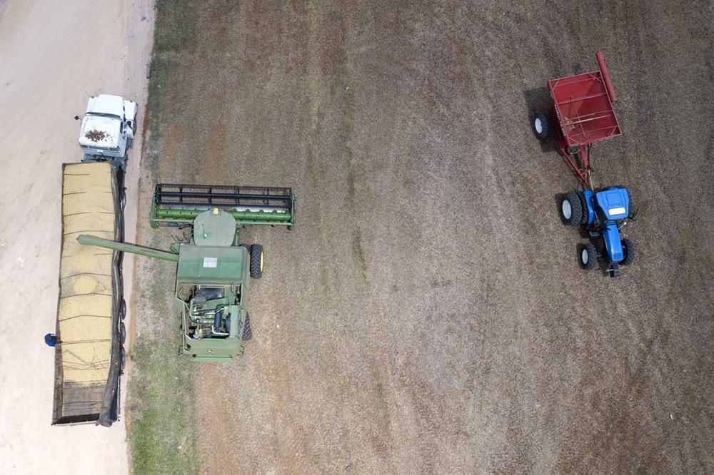 SOJA: Negociada acima de R$ 130 em Paranaguá, soja se aproxima de recorde real. Foto Toninho Anhaia.