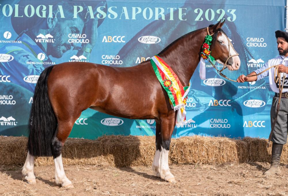 Foto: João Morais/Divulgação (Cara Pampa da Bézinha)