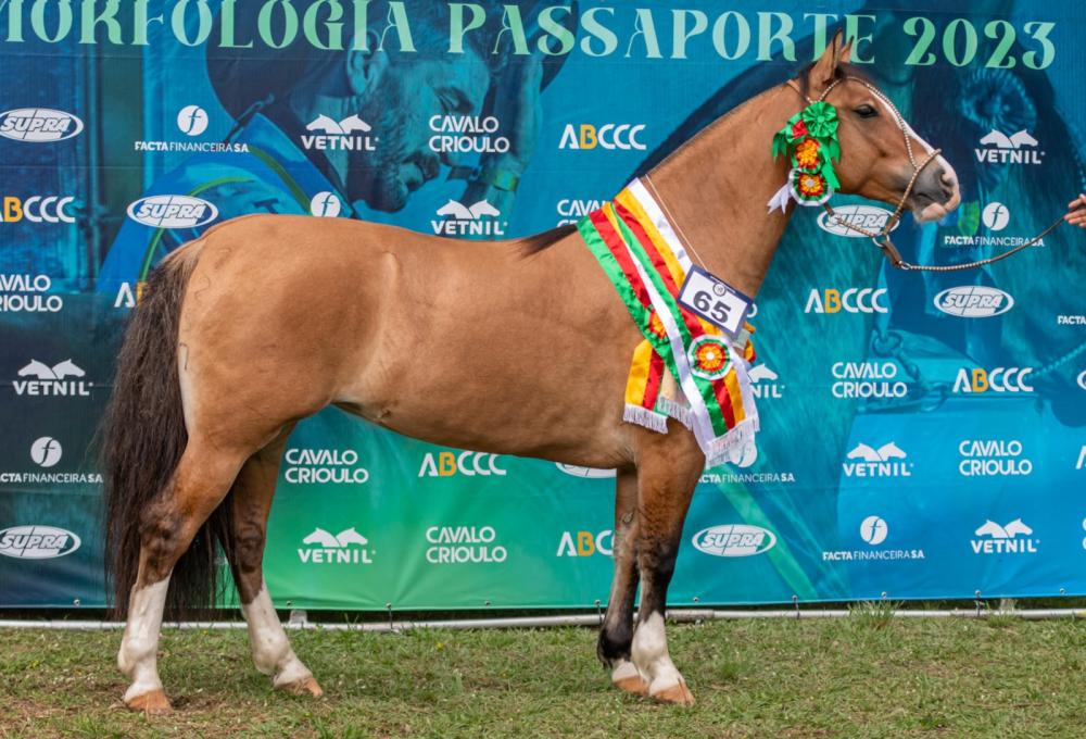 Foto: Felipe Ulbrich/Divulgação (AS Malke Guerra)