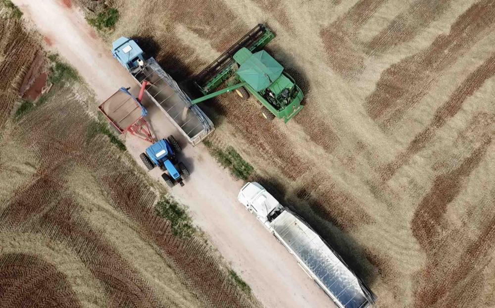 Dados do levantamento realizado pela Fretebras, startup considerada a maior plataforma de transporte de cargas da América Latina, mostram que, dos 10 milhões de fretes transportados em 2022, 36,3% deles foram em produtos do agronegócio, a categoria mais r