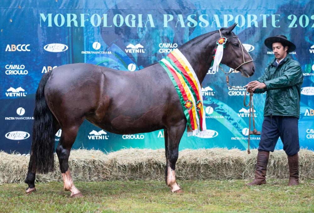 Foto: Leandro Vieira/Divulgação (Maçanilha do Rosal)