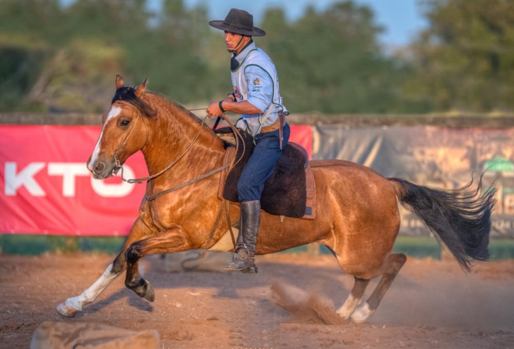 Foto: Felipe Ulbrich/Divulgação (Espora da Cabanha Ferraria)