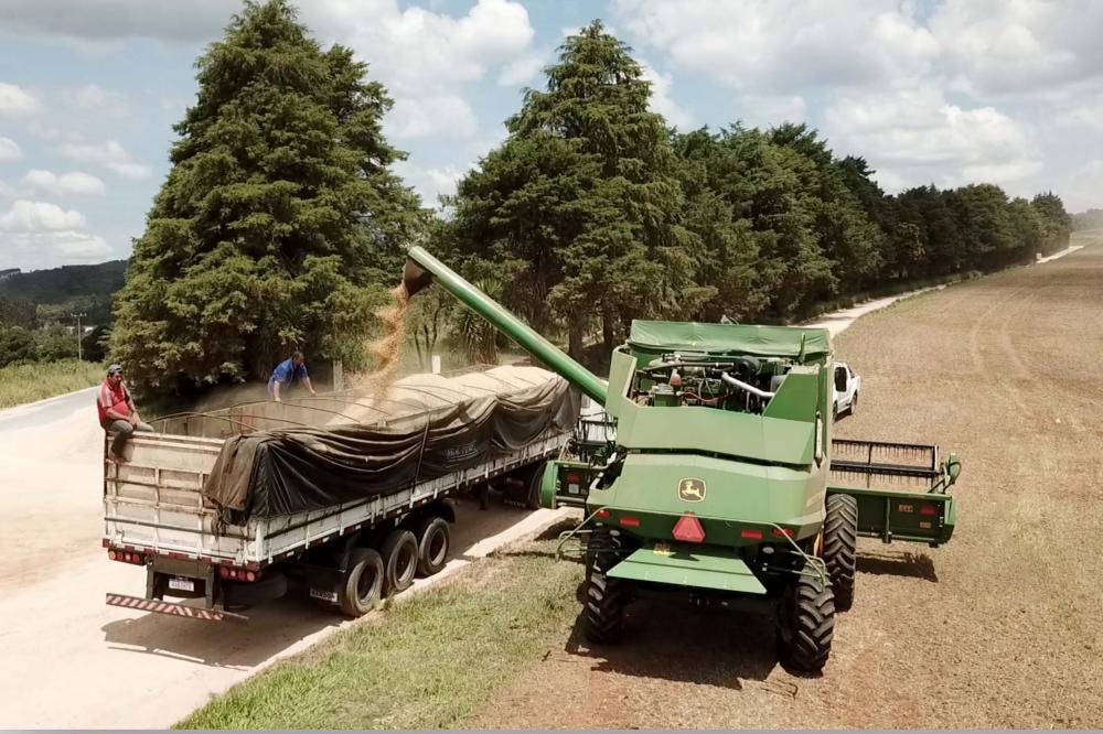 O PSR tem se consolidado como uma importante ferramenta de gestão de riscos agropecuários. Em 2006 foram atendidos 16,4 mil produtores rurais, já para 2020 a expectativa é de que 160 mil tenham acesso ao benefício. Foto Toninho Anhaia