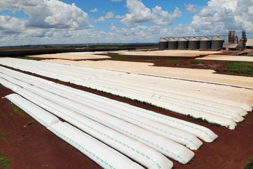 O Brasil poderá ter um déficit de armazenagem de 115 milhões de toneladas de grãos.