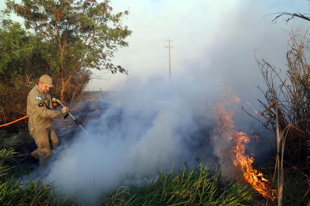 Estado lança nesta semana campanha de prevenção e combate a incêndios florestais Foto: Gilson Abreu/AEN