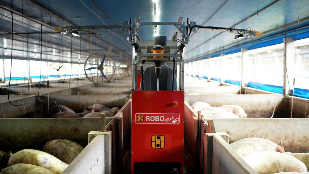 Conhecido como “Big Brother da suinocultura”, o equipamento faz um acompanhamento inédito nas granjas e baias, monitorando o ciclo de 120 dias de engorda do animal até o momento do abate.