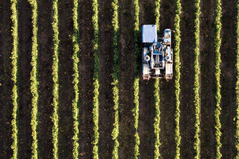 A digitalização pode oferecer muitas vantagens para as cooperativas, incluindo a melhoria da eficiência e a disponibilização de serviços mais modernos e convenientes aos cooperados. A Supercampo é formada por 12 cooperativas e hoje oferece seus serviços a