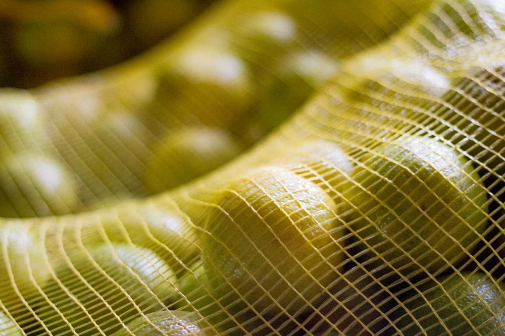 Aestimativa de consumo de suco de laranja no mercado interno brasileiro de 80.000 toneladas de FCOJ equivalente a 66º Brix. Foto Sistema CNA/Tony Oliveira.