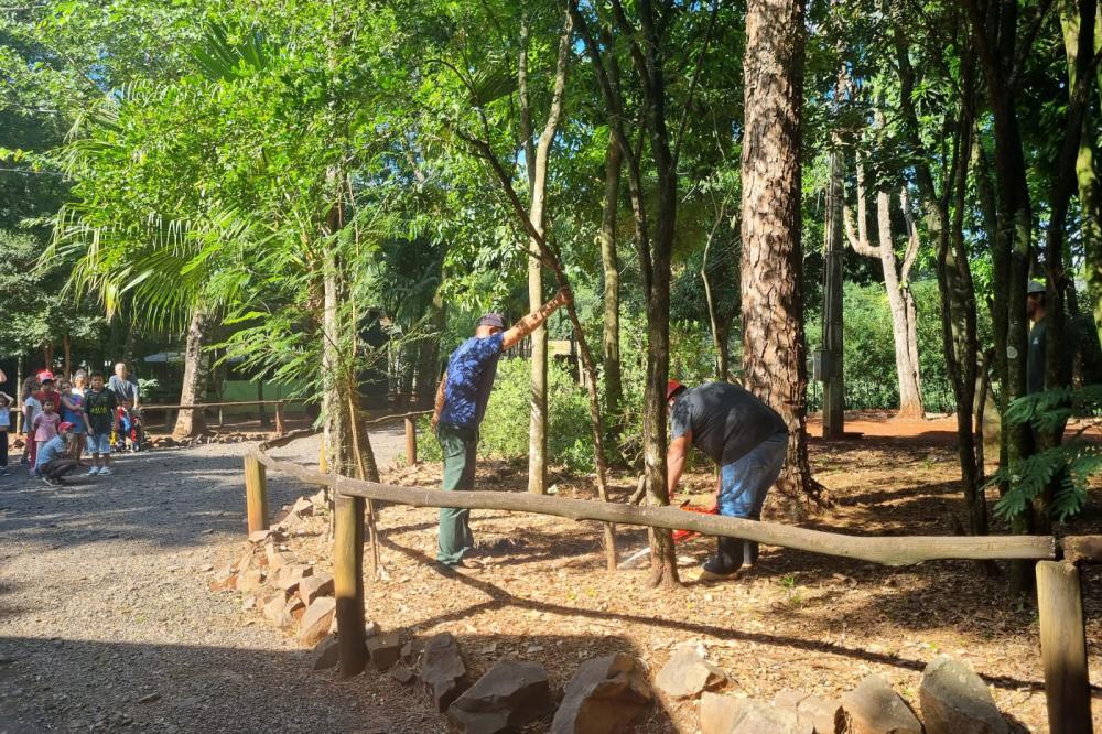 Com apoio de funcionários, IAT erradica 37 plantas exóticas em viveiros do Paraná Foto: IAT