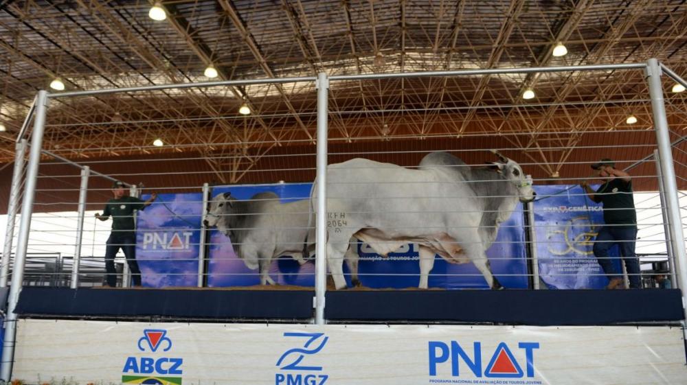 As inscrições para a ExpoGenética 2023 vão até o dia 31 de julho.