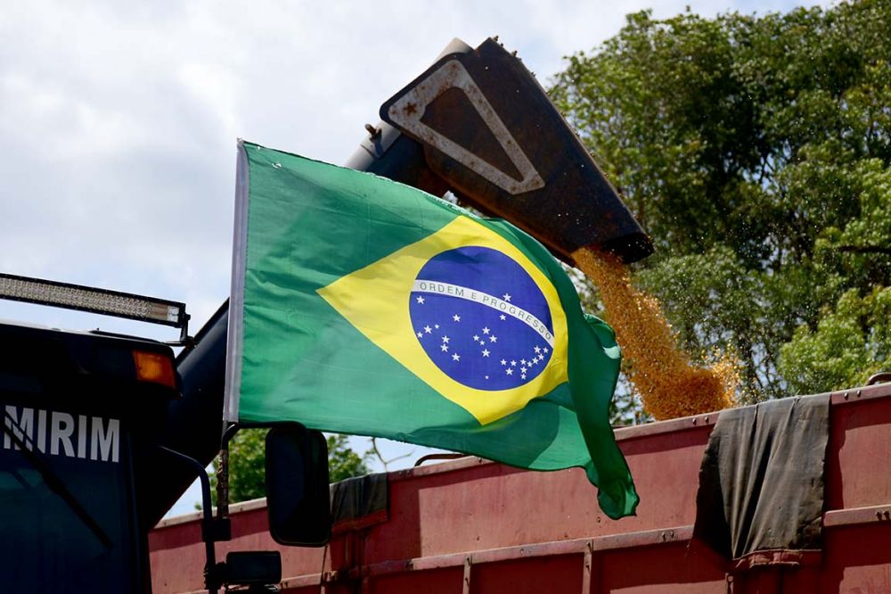 Os dados constam na edição de maio do Boletim de Finanças Privadas do Agro, que é publicado pela Secretaria de Política Agrícola do Ministério da Agricultura e Pecuária. Foto Toninho Anhaia.