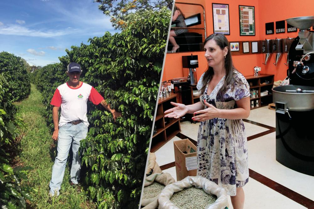 Segundo o relatório do Conselho dos Exportadores de Café do Brasil (Cecafé), no primeiro semestre deste ano o Brasil exportou 19,6 milhões de sacas do produto (79% de café do tipo arábica).