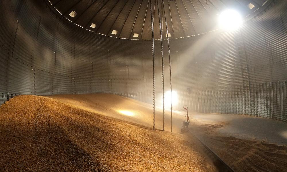 Estoques de milho, soja e trigo crescem, enquanto os de arroz e café caem 
