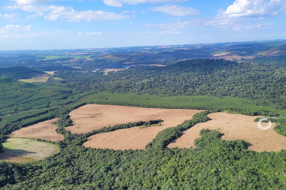 O Paraná conseguiu alcançar quase 40% de toda a área desmatada entre 2019 e 2022, um dos melhores desempenhos do País Foto: IAT