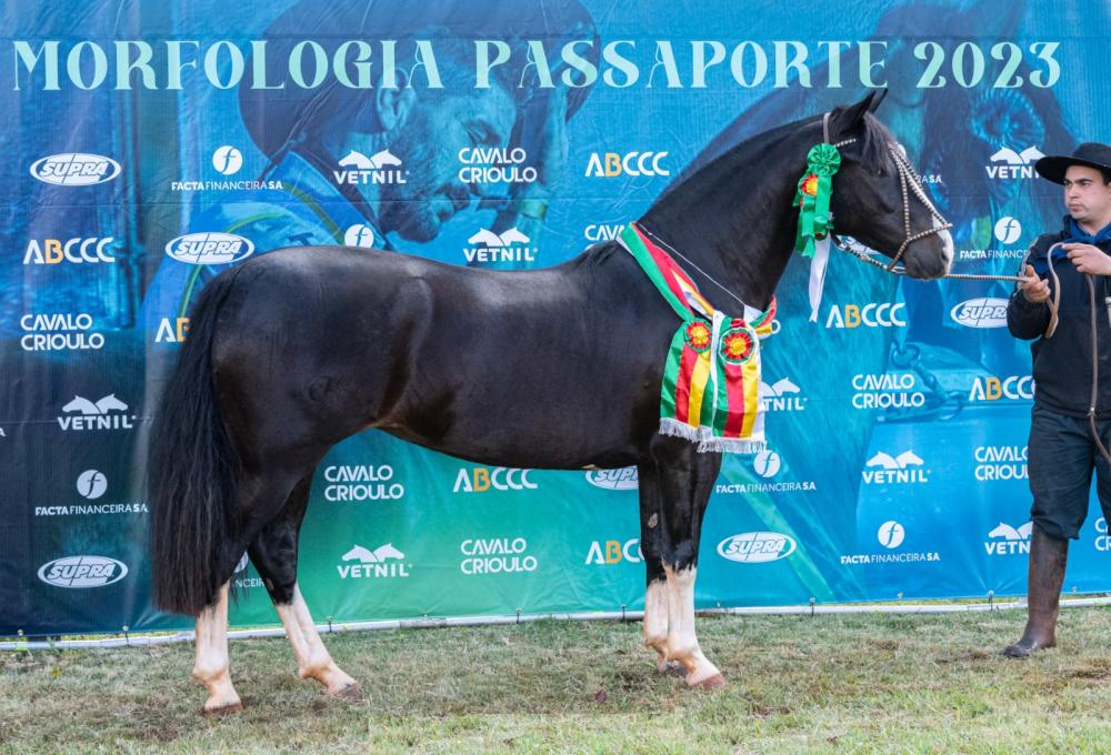 Foto: João Morais/Divulgação (Basca Honra)