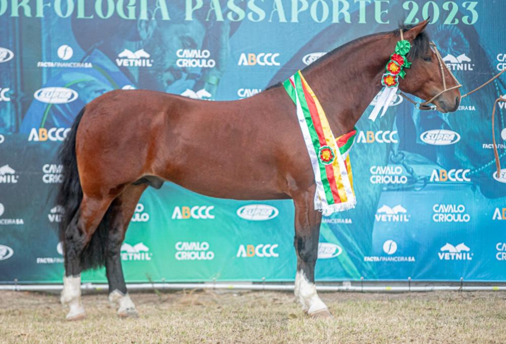 Foto: Maurício Vinhas/Divulgação (Financeiro Tupambaé)