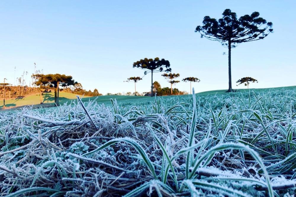Simepar prevê inverno com poucas ondas de frio, veranicos, nevoeiros e geadas Foto: Ana Tigrinho