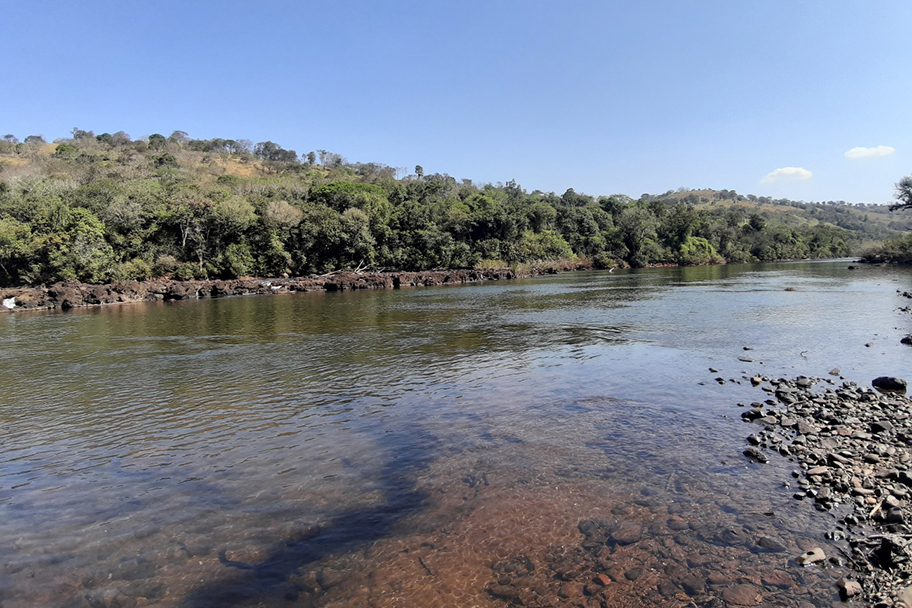 Comitês de Bacias Hidrográficas se reúnem para discutir gestão da água no Paraná. Na, foto Rio Piquiri Foto: Jheniffer Valeria