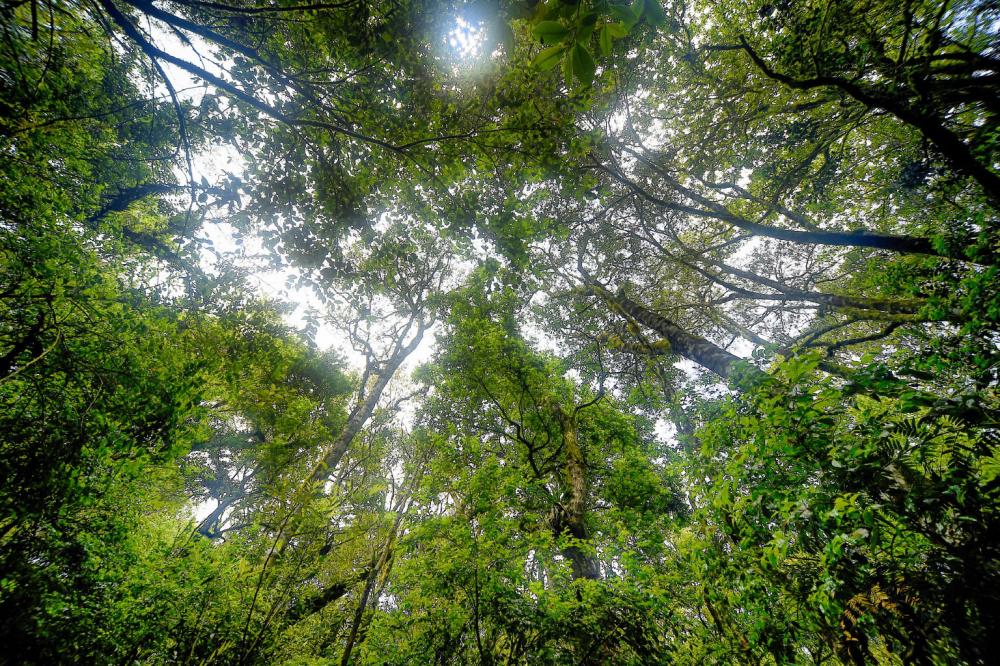 São 26.250,42 km² de áreas protegidas por legislação no Paraná, formadas por ecossistemas livres que não podem sofrer interferência humana ou àquelas com o uso sustentável de parte dos seus recursos naturais, como os parques abertos à visitação pública Fo