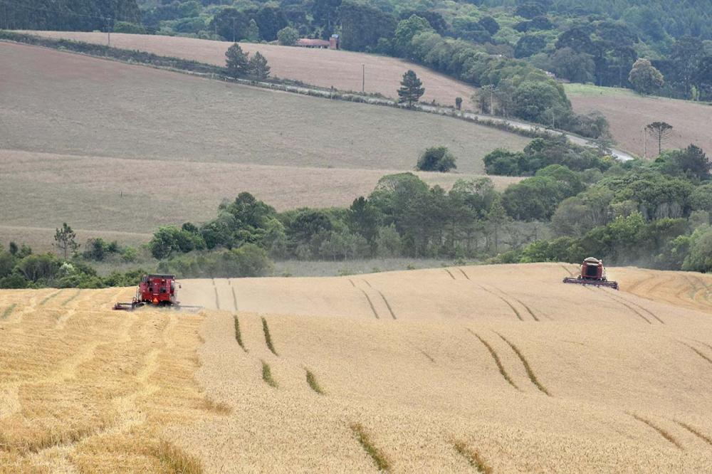 De acordo com Leonardo Sodré, CEO da GIROAgro, uma das maiores indústrias de fertilizantes do país, “a produção brasileira vem crescendo ao longo dos anos com adoção de tecnologias e utilização de fertilizantes, resultando em novos recordes.