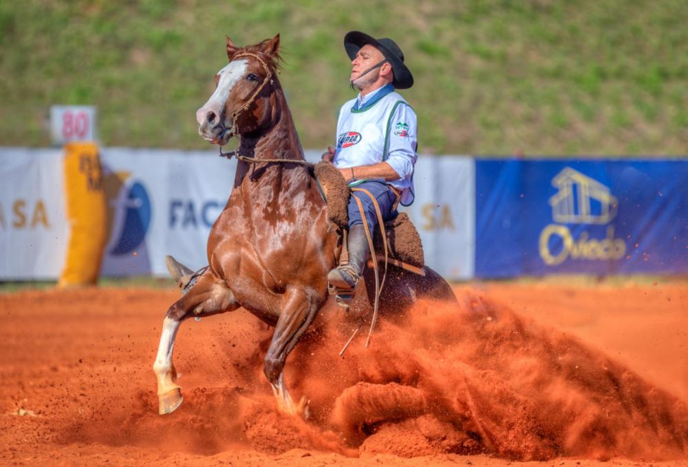 Foto: Felipe Ulbrich/Divulgação (Belle Porcelana)