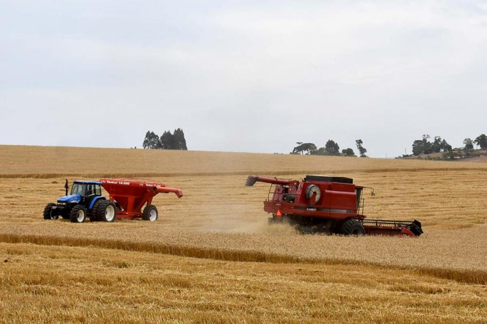 Essa expansão foi puxada pela agropecuária (38,32%), indústria (7,95%) e serviços (4,89%). Os dados foram divulgados pelo Instituto Paranaense de Desenvolvimento Econômico e Social (Ipardes) nesta segunda-feira (26). Foto Toninho Anhaia.