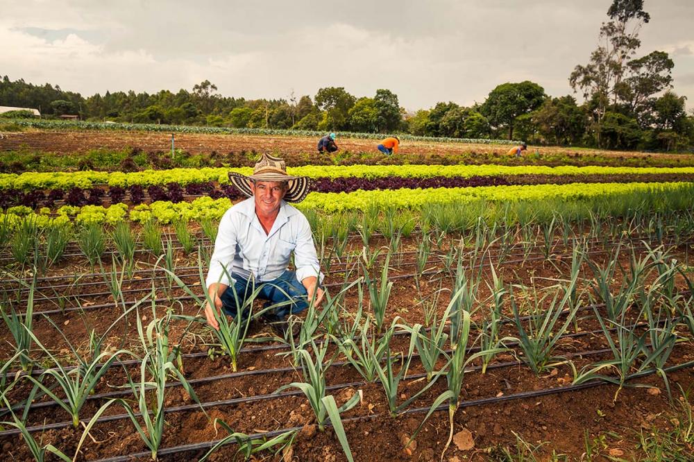 Segundo Ágide, as propostas em geral, penalizam o setor rural, impondo regras e impostos incompatíveis com a natureza das atividades do campo, tais como a tentativa – que não é de hoje – de transformar o produtor rural em pessoa jurídica. Foto Sistema CNA