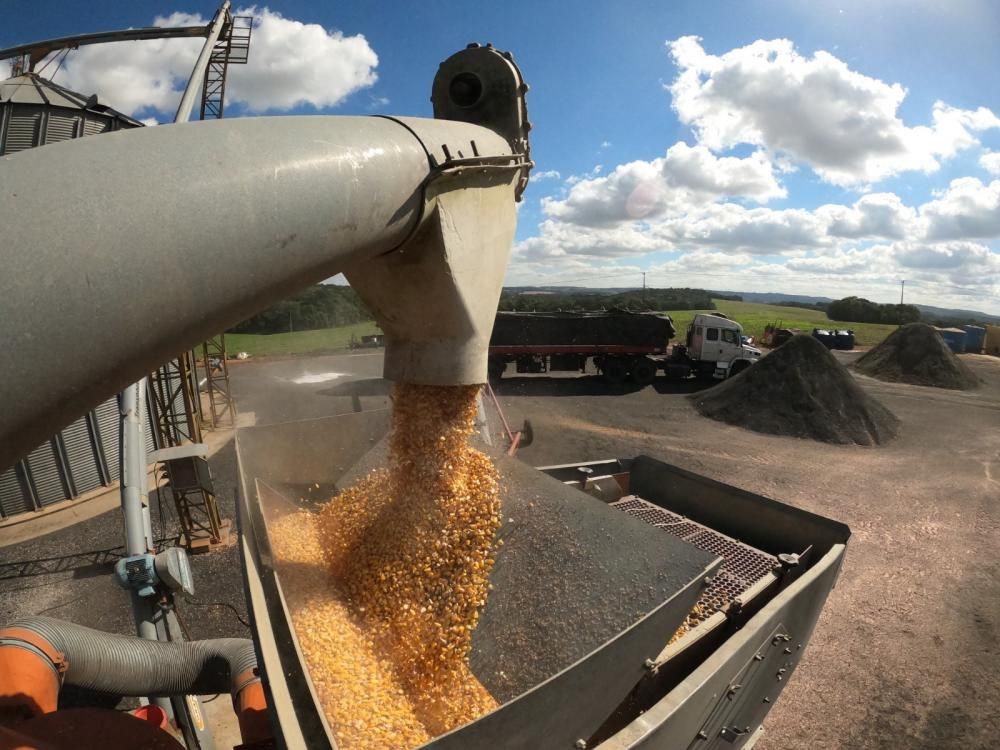 Segundo o especialista, a tendência da agricultura é continuar crescendo — e isso precisa ser acompanhado pela infraestrutura.