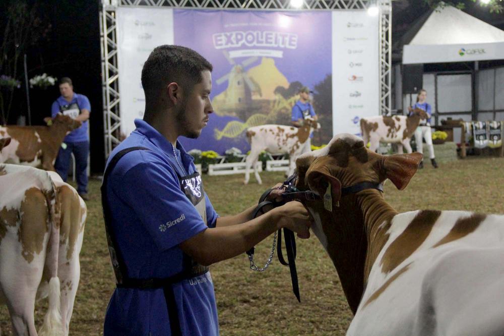 Evento é promovido anualmente pela cooperativa Capal, com programação gratuita para cooperados e comunidade em geral