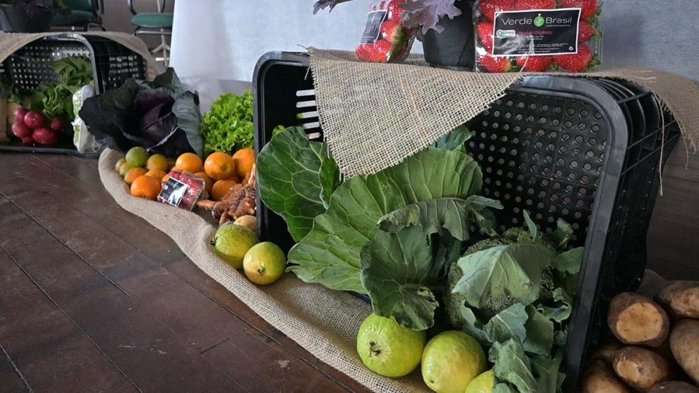 O Núcleo Regional da SEAB acompanha as conferências municipais para promover a segurança alimentar nos Campos Gerais, buscando melhorar a produção, logística e entrega dos alimentos na região. Foto Toninho Anhaia