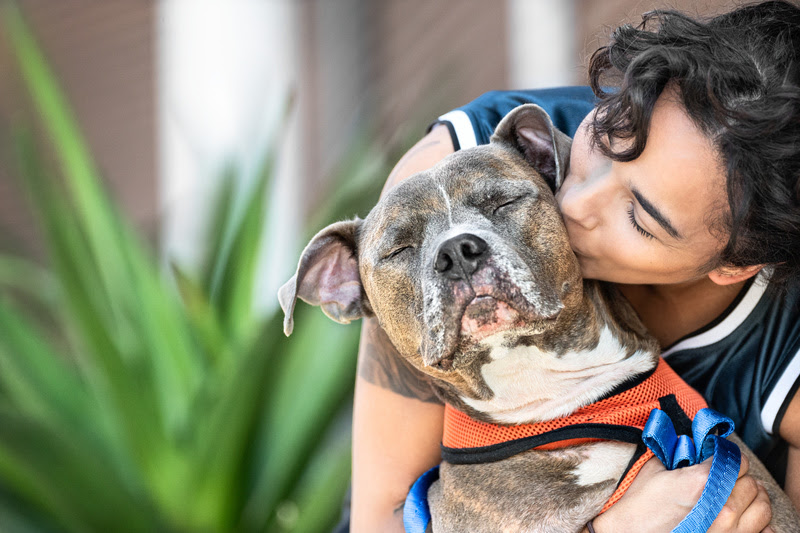Imagem: Divulgação/Mars Petcare