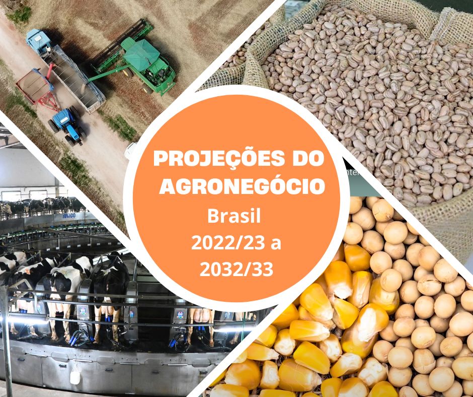 Os números são do estudo Projeções do Agronegócio, Brasil 2022/23 a 2032/33, feito pela Secretaria de Política Agrícola, do Ministério da Agricultura e Pecuária (Mapa) e pela Empresa Brasileira de Pesquisa Agropecuária (Embrapa).