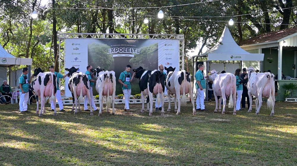 Sucesso absoluto! A 49ª Expoleite consolida ano a ano como uma importante feira-agropecuária, atraindo um grande público. Fotos Toninho Anhaia.