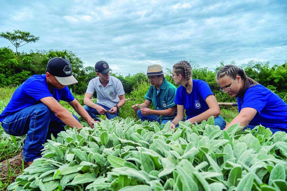 O curso Técnico Agrícola/Agropecuário, ofertado em 23 colégios agrícolas do Paraná, está passando por uma reestruturação da matriz curricular. 