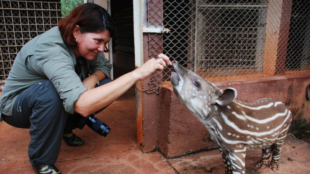 O encontro entre biodiversidade e inovação, meio ambiente e agricultura, estão entre os temas mais explorados na produção de Liana John. 