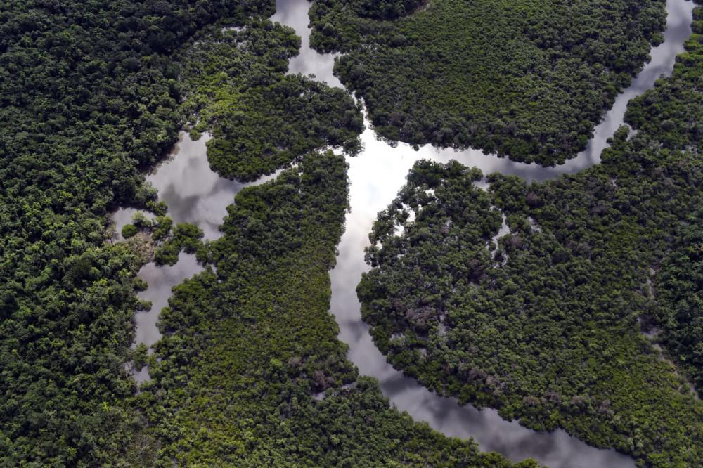Paraná foi o estado do País que mais reduziu o desmatamento ilegal da Mata Atlântica com queda de 54%. Foto: IAT