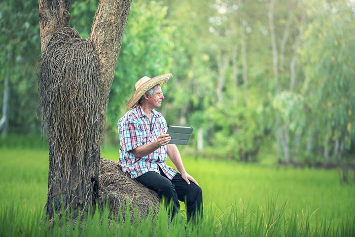 Evento virtual é gratuito e será realizado entre os dias 8 e 11 de setembro Créditos: Sasin Tipchai/Pixabay