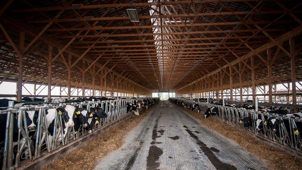 Foto: Lance Cheung - United States Department of Agriculture (USDA)