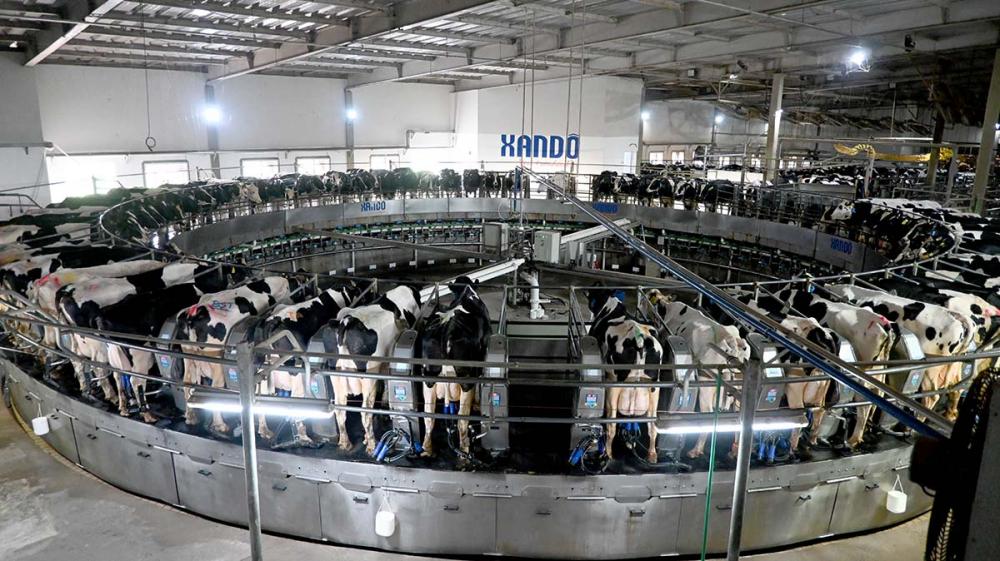 Desde o ano passado, quando completou 40 anos, a Xandô segue em um movimento natural de expansão e amplia sua linha de sucos e lácteos para atender aqueles que procuram por produtos frescos e de qualidade.