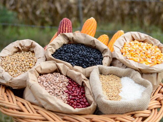 A pandemia, aliada à crise econômica, evidencia a importância de produção local de alimentos.