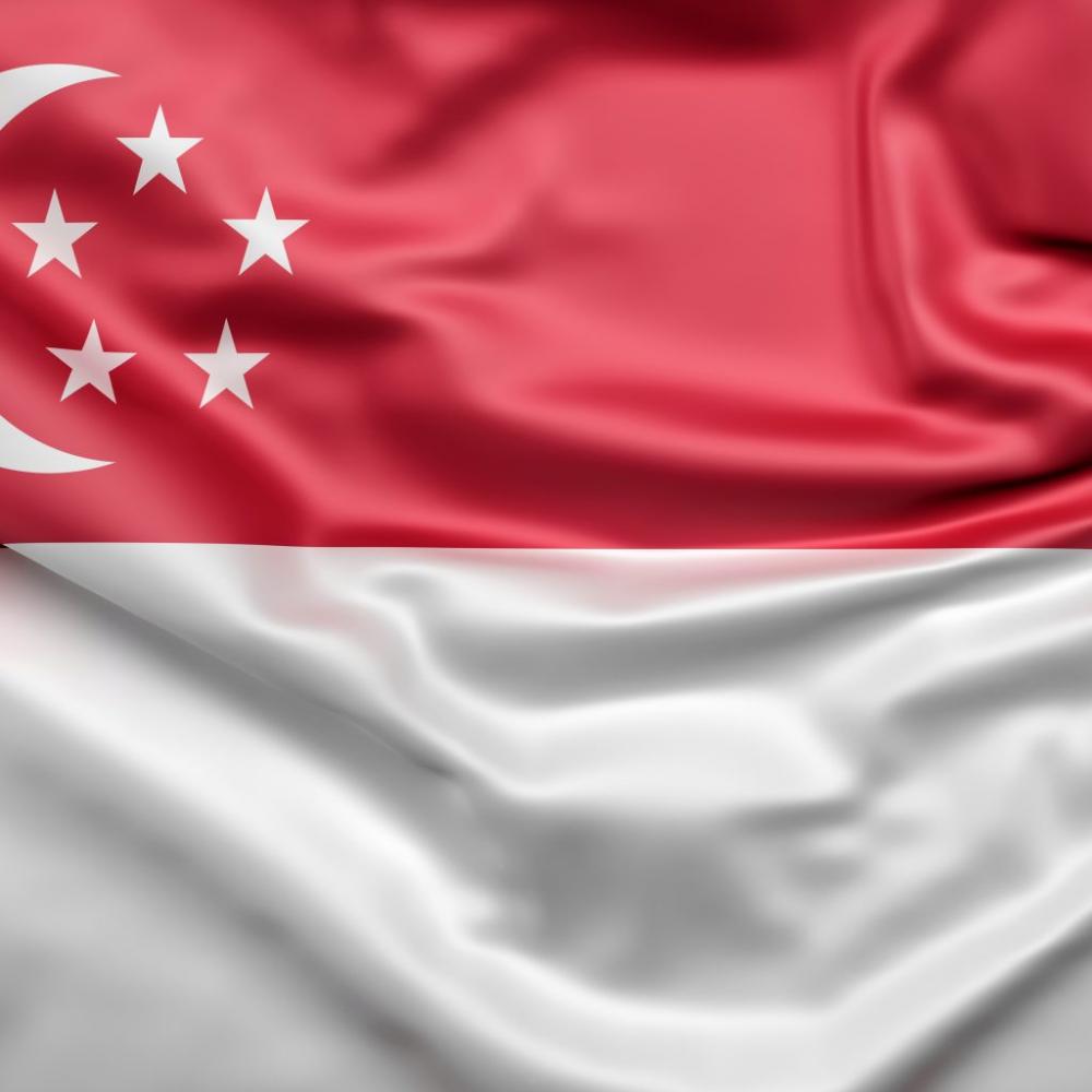 Atualmente, Singapura já importa carne suína in natura do Brasil e tem incrementado a demanda pelo produto brasileiro.