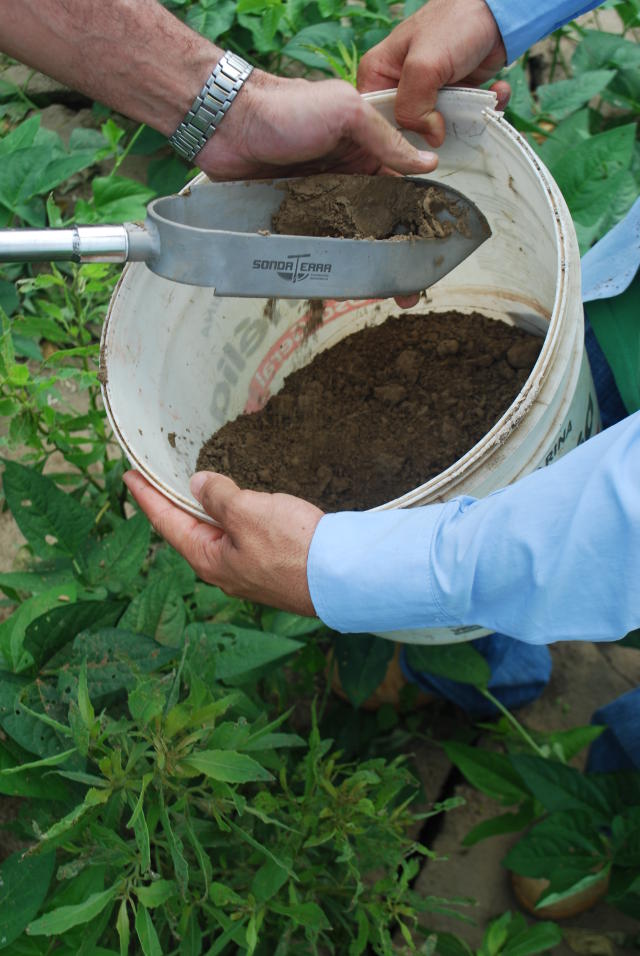 Trabalho de coleta de amostra de solo, realizada no município de Porto Velho - RO. Divulgação Embrapa/Daniel Medeiros
