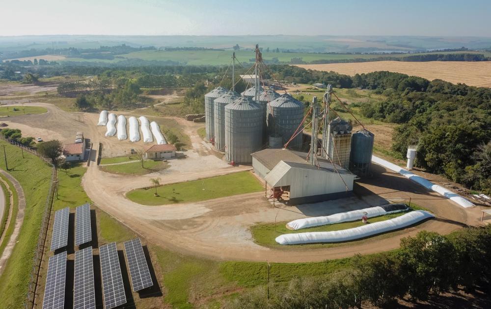 Resultados impressionantes no Valor Bruto de Produção Agropecuária (VBP) reforçam a posição do município como principal produtor de grãos do Paraná