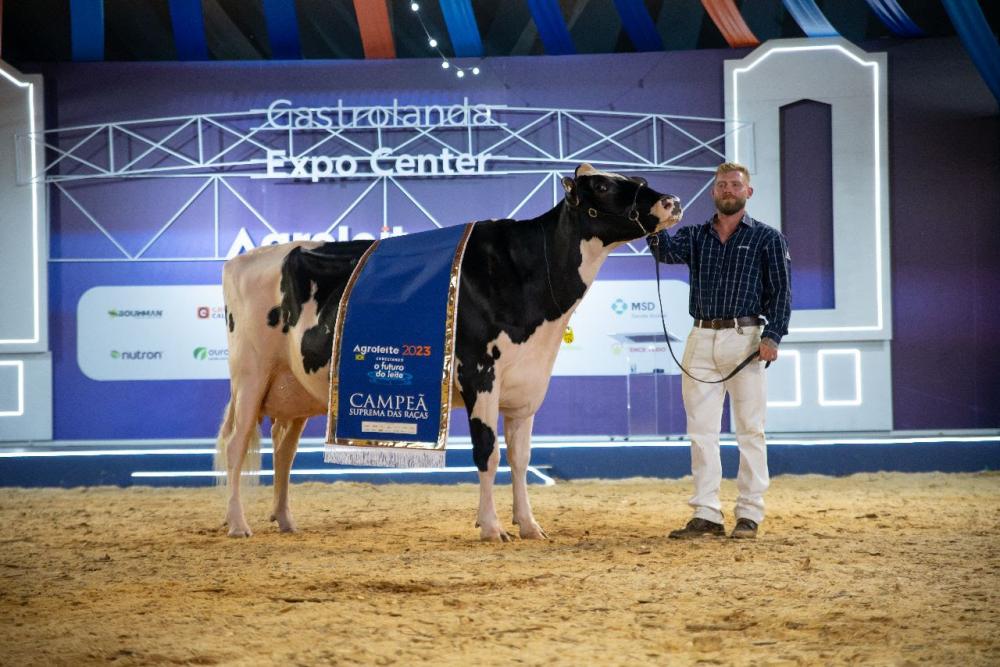 A vaca Holandesa da variedade Preta e Branca de 5 anos, BUR JR. MAC DOUGLAS CRISTINA 3474, de propriedade do casal de criadores Reinaldo e Margarida de Boer, junto com os filhos Ronald, Flávio e Frank, é a campeã Suprema das Raças do evento que é reconhec