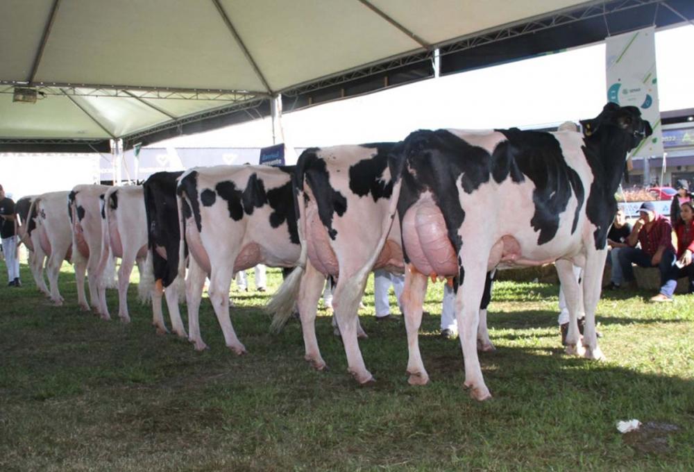 A Expointer também é cenário para o encerramento do Circuito Exceleite. Na sexta-feira, dia 1º de agosto, será feita a entrega das Supremas Exceleite 2022/2023. Foto: JM Alvarenga/Divulgação