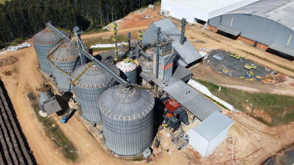 Os cooperados da Frísia na safra 23/23 estão com uma área total plantada de aproximadamente 8.700 hectares de cevada, com uma produtividade média esperada de 4.500 kg por hectare. 