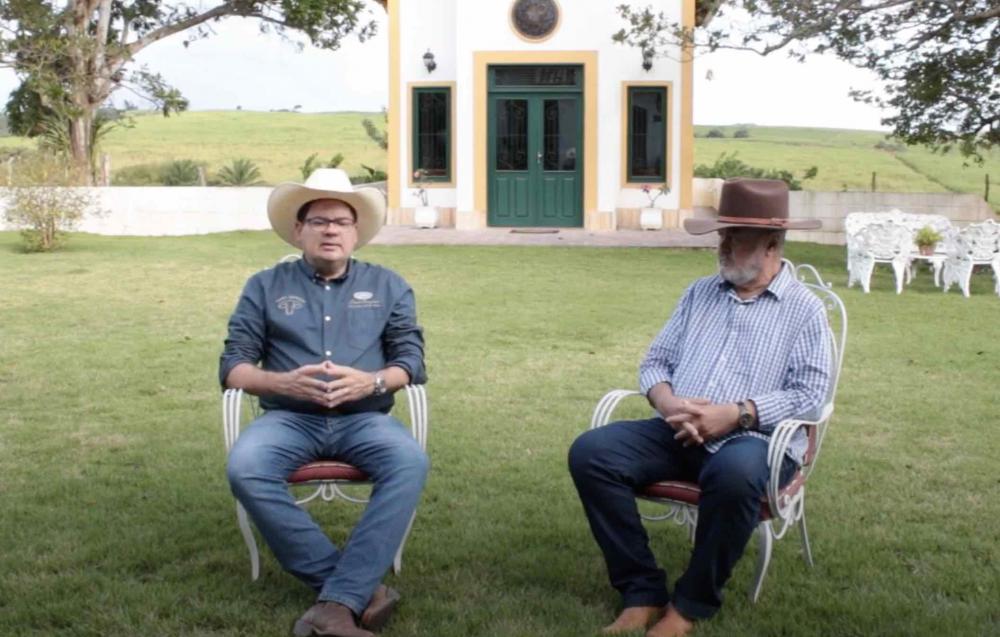 FAZENDA MANGABEIRA, EM JAPARATUBA (SE), SE DESTACA NA CRIAÇÃO DA RAÇA SANTA GERTRUDIS