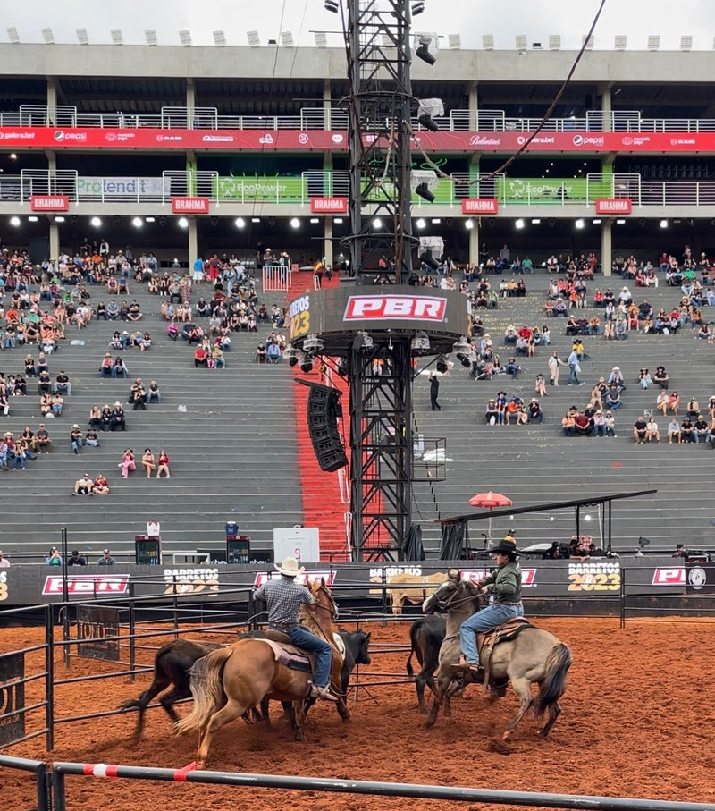 Dupla de competidores batem recorde mundial no Ranch Sorting - Crédito: Divulgação