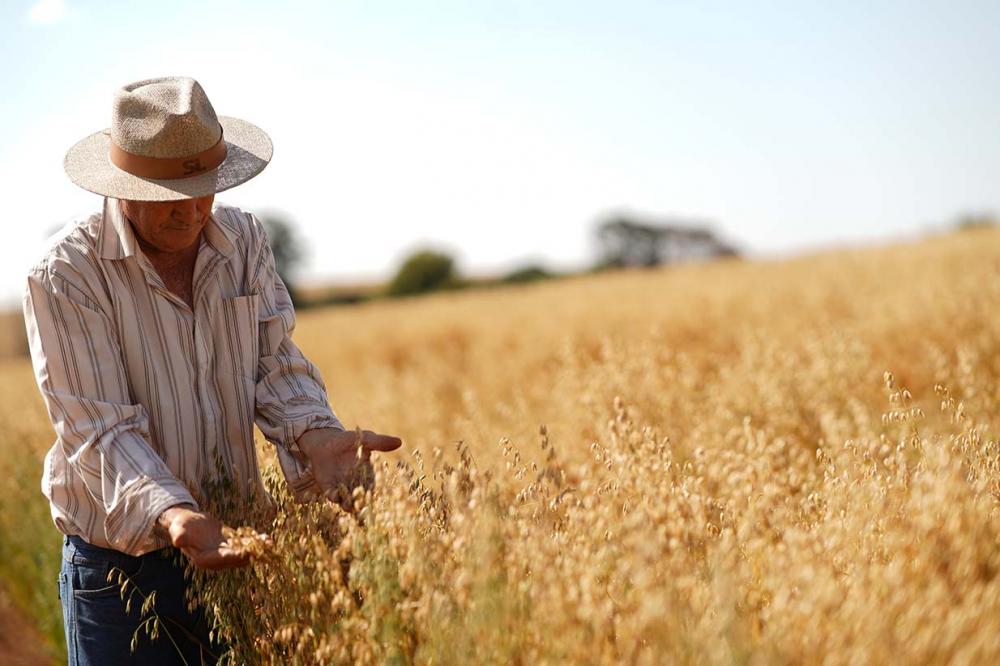 A inscrição é gratuita para o Dia de Campo deverá ser feita pela internet.